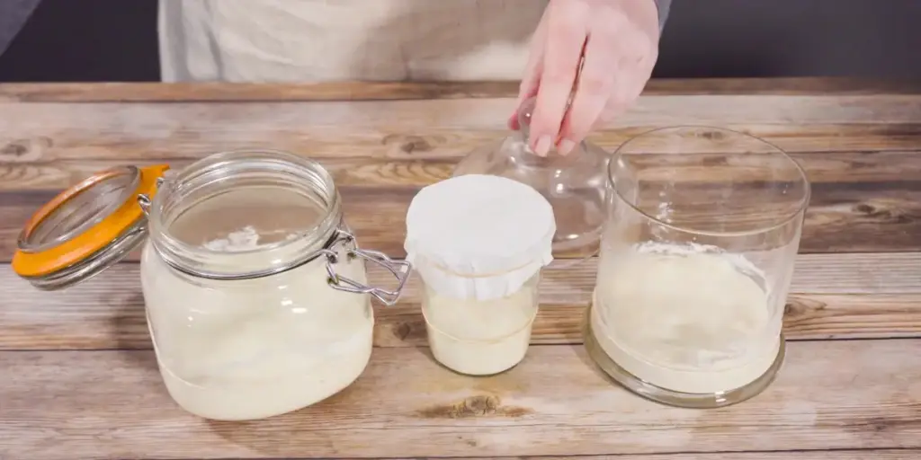 Sauerteig füttern – Pflege, Haltbarkeit und Vermehrung